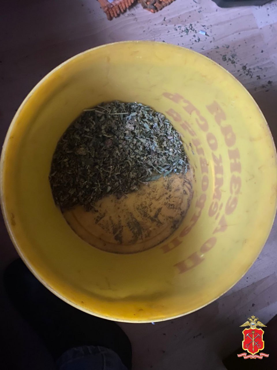 Полиция Петербурга задержала наркоагронома, высадившего коноплю в арендуемой квартире в поселке Шушары Полиция Петербурга задержала наркоагронома, высадившего коноплю в арендуемой квартире в поселке Шушары