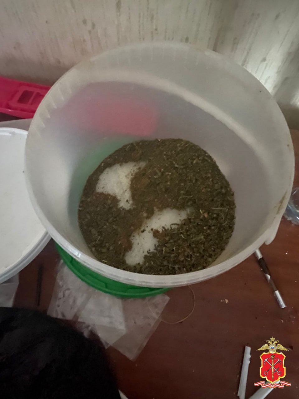 Жителя Пушкина задержали за организацию наркоплантации в арендованной квартире Жителя Пушкина задержали за организацию наркоплантации в арендованной квартире