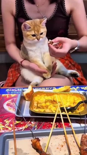 В субботу утром что самое главное? Воды, много воды и хорошо позавтракать