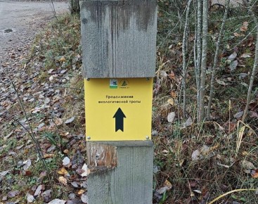 Экомаршруты Ленобласти готовят к зимнему сезону