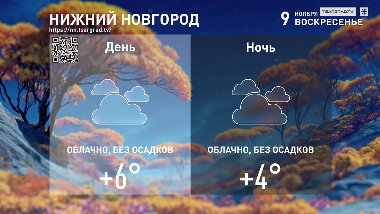 Внесли дрова с мороза,. У печки положили