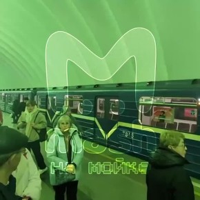 Человек упал на рельсы на "Озерках" — движение на синей ветке метро приостановлено от "Парнаса" до "Озерков"