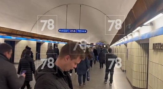 Движение поездов от станции «Парнас» до станции «Озерки» временно приостановлено