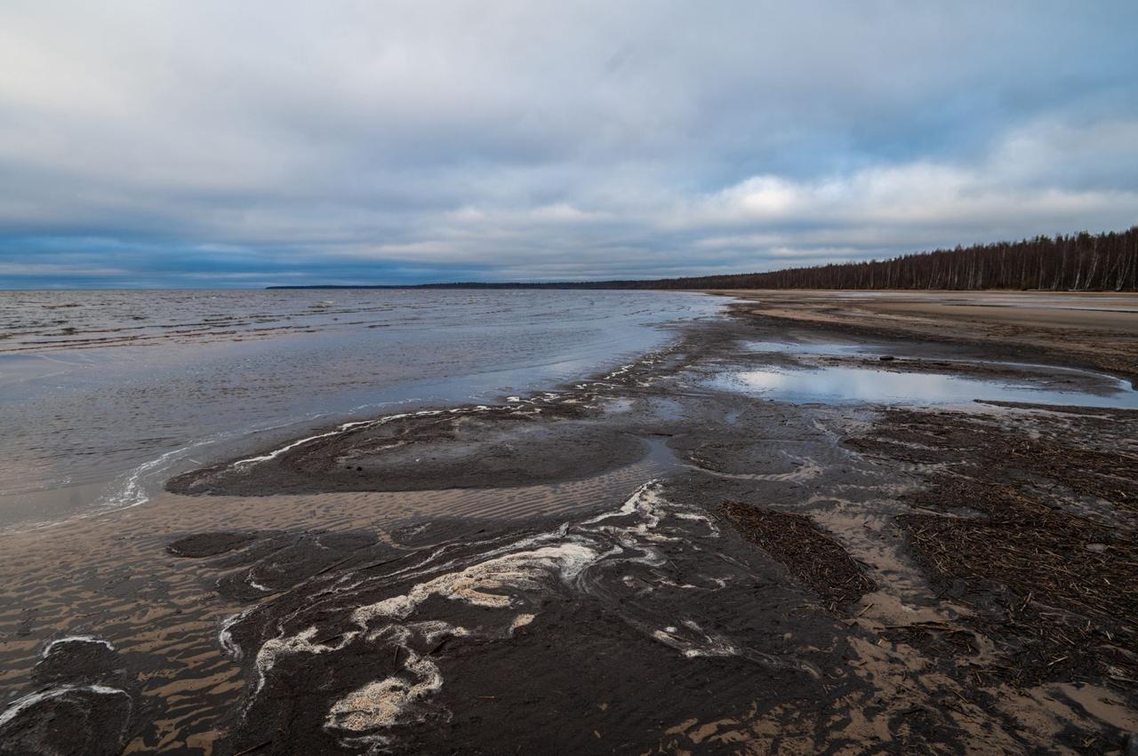 Александр Дрозденко поделился осенними снимками Нижне-Свирского заповедника Александр Дрозденко поделился осенними снимками Нижне-Свирского заповедника