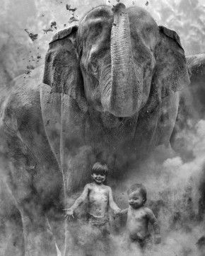  :    10%   ,    ,   90%  ,      