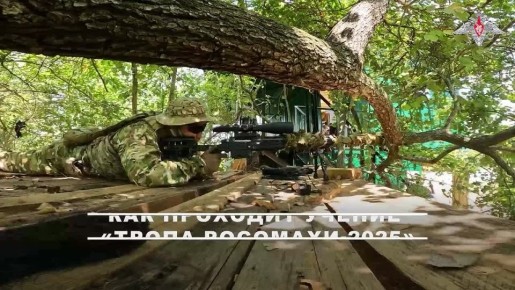   -   -2025                -