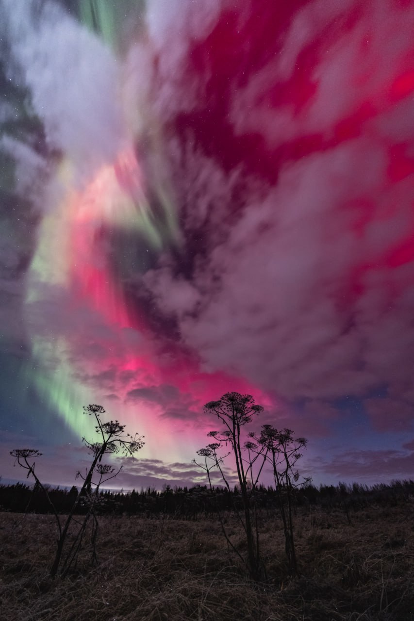 Показываем космическую красоту из Бокситогорского района ЛО — минувшей ночью людям удалось запечатлеть преКрасное северное сияние
