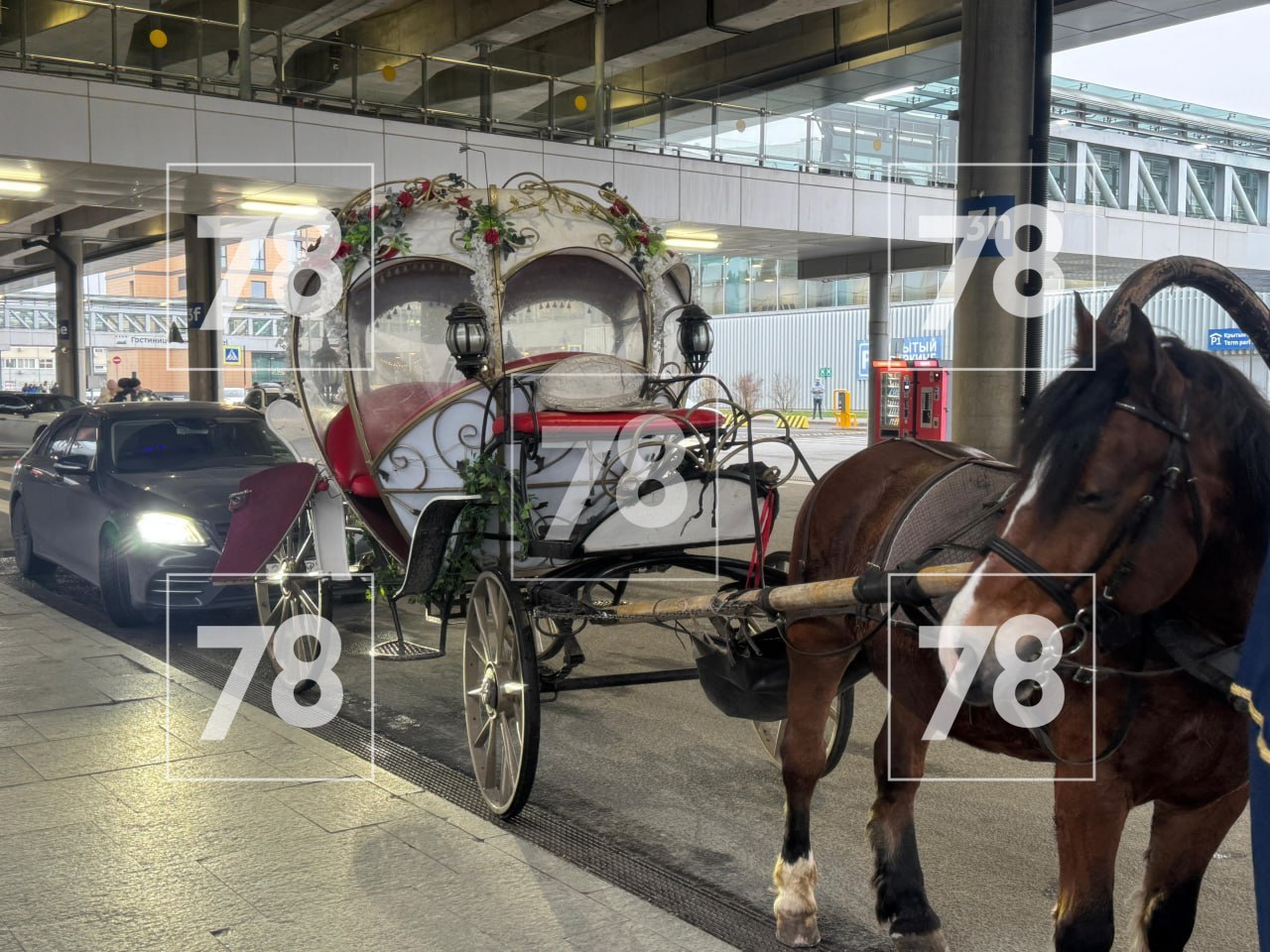 Мы не хотим разрушать сказку о принцессе, для которой в Пулково подали карету, но, увы, всё оказалось гораздо прозаичнее Мы не хотим разрушать сказку о принцессе, для которой в Пулково подали карету, но, увы, всё оказалось гораздо прозаичнее