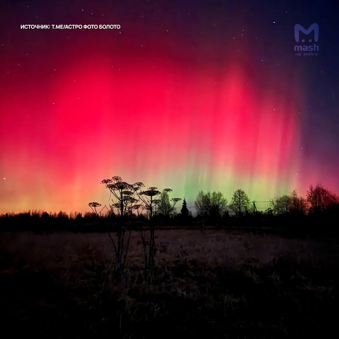 Просыпаемся, любуемся — кадры северного сияния этой ночью в Ленобласти
