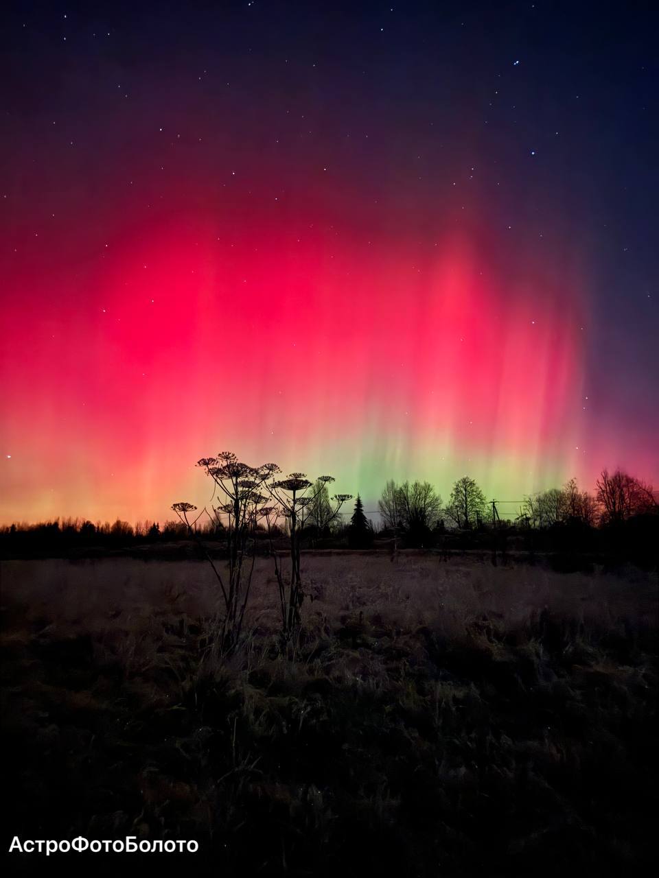 Полярные сияния редких красных оттенков вызвала сильная магнитная буря