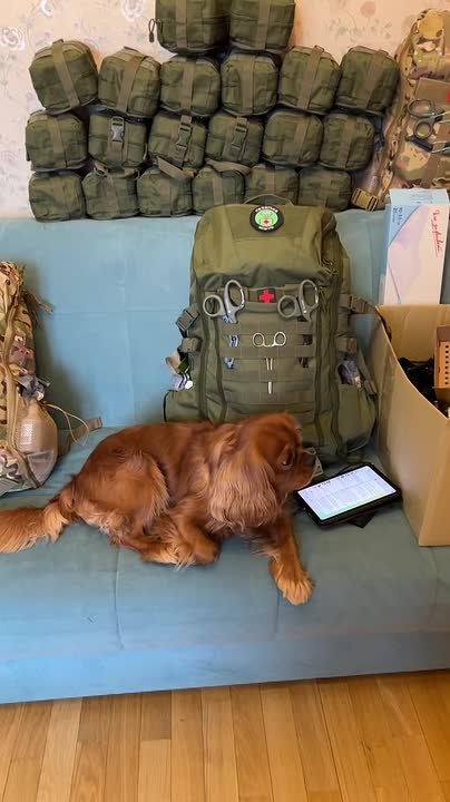 Юлия Витязева: Друзья! Мы продолжаем делать все, чтобы наши защитники и дальше выполняли поставленные задачи и оставались при этом живыми и здоровыми