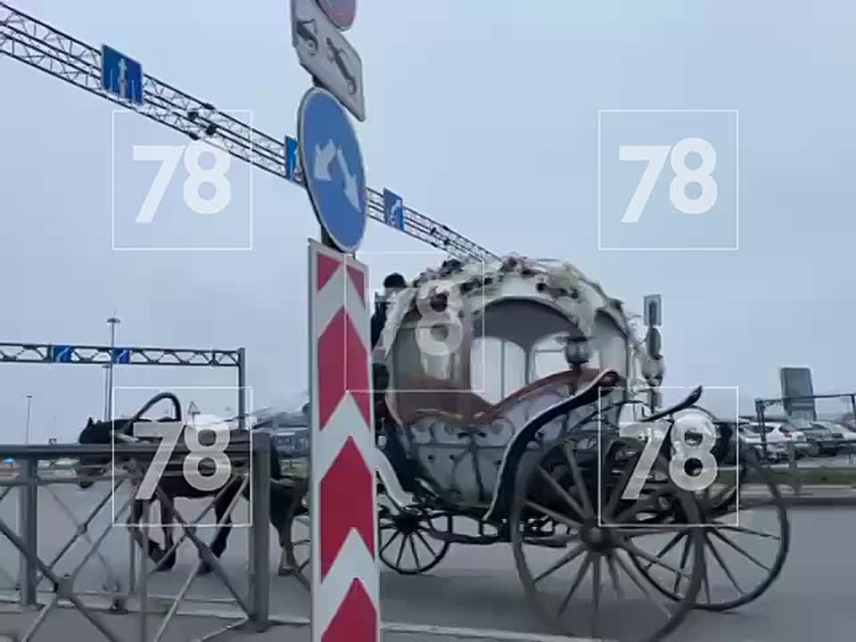 Мы не хотим разрушать сказку о принцессе, для которой в Пулково подали карету, но, увы, всё оказалось гораздо прозаичнее