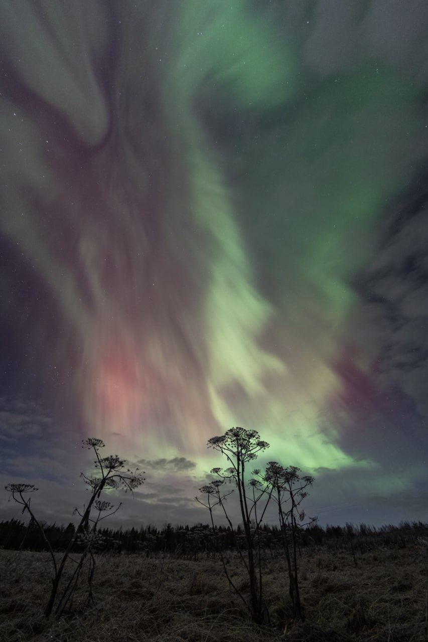 Показываем космическую красоту из Бокситогорского района ЛО — минувшей ночью людям удалось запечатлеть преКрасное северное сияние Показываем космическую красоту из Бокситогорского района ЛО — минувшей ночью людям удалось запечатлеть преКрасное северное сияние