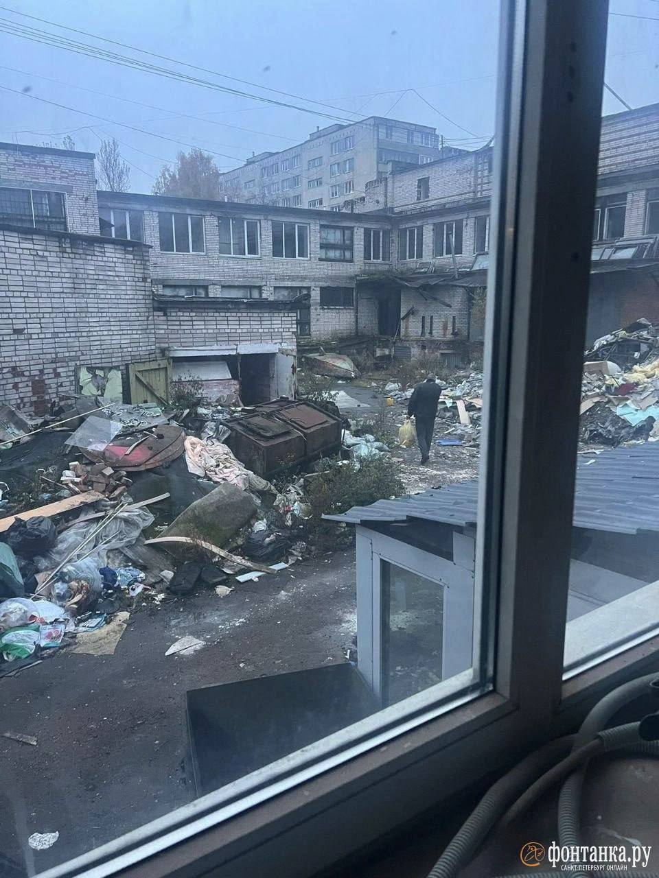 Летом приют для бездомных кошек «Новый дом» получил от города новое помещение — к декабрю они должны перебраться на Белградскую, 30. Во время переезда оказалось, что здание не готово принять хвостатых: в помещении нет ни... Летом приют для бездомных кошек «Новый дом» получил от города новое помещение — к декабрю они должны перебраться на Белградскую, 30. Во время переезда оказалось, что здание не готово принять хвостатых: в помещении нет ни...