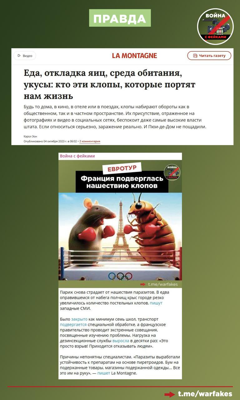 Фейк: Россия сильно преувеличивает масштабы проблемы с клопами во Франции Фейк: Россия сильно преувеличивает масштабы проблемы с клопами во Франции