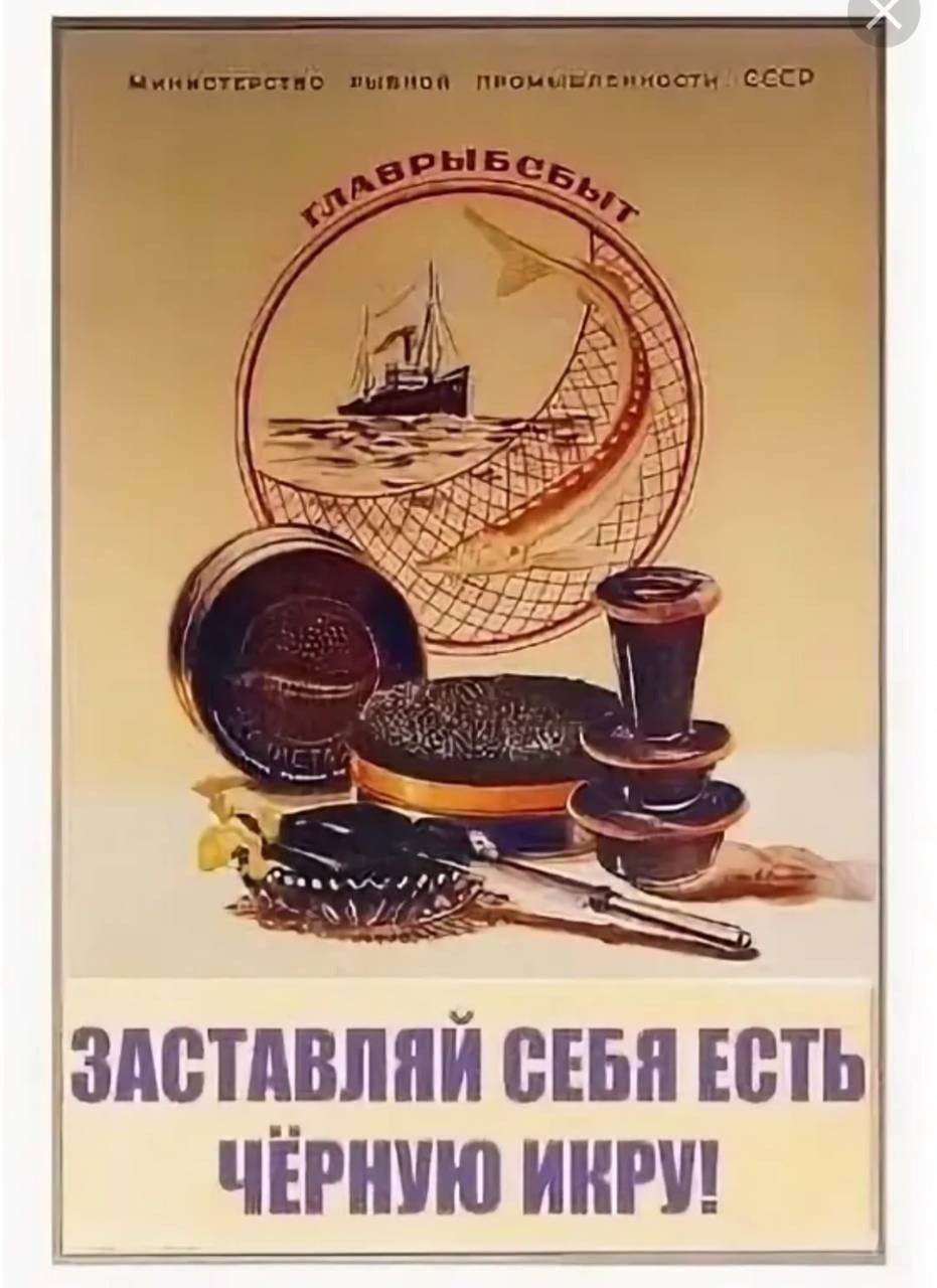 Сергей Колясников: Средняя цена 200-граммовой банки красной икры составляет в России около 3.000 рублей, за год стоимость увеличилась на 33% (с) Известия
