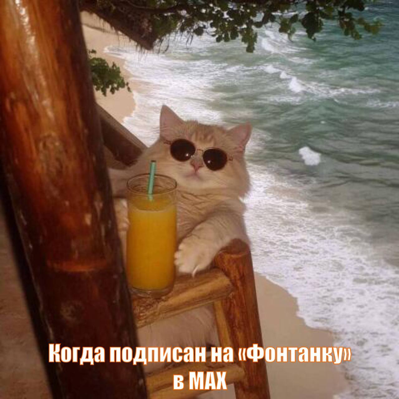 Чтобы отпраздновать Новый год на базах отдыха в Ленобласти, нужно иметь серьезные сбережения: коттеджи сдаются по цене тропических островов Индийского океана