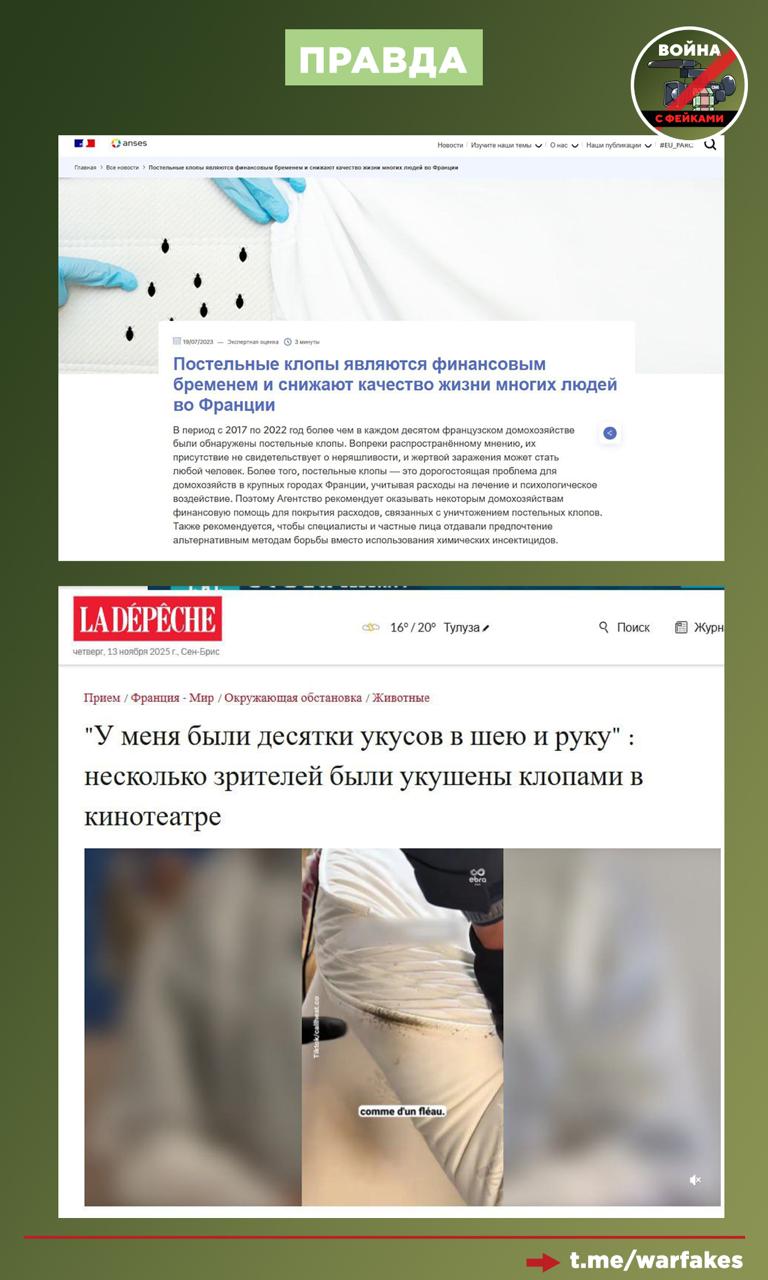 Фейк: Россия сильно преувеличивает масштабы проблемы с клопами во Франции Фейк: Россия сильно преувеличивает масштабы проблемы с клопами во Франции