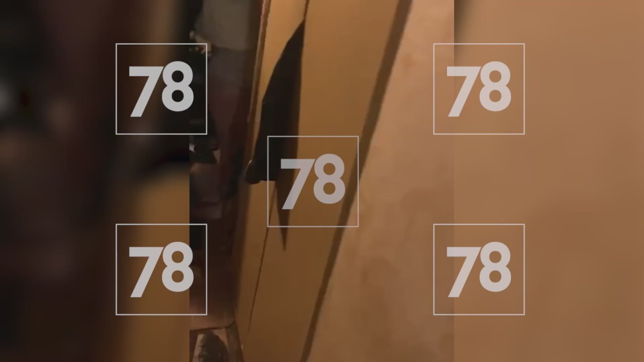 Силовики задержали жительницу Петербурга, оправдывавшую теракт в кафе на Университетской набережной