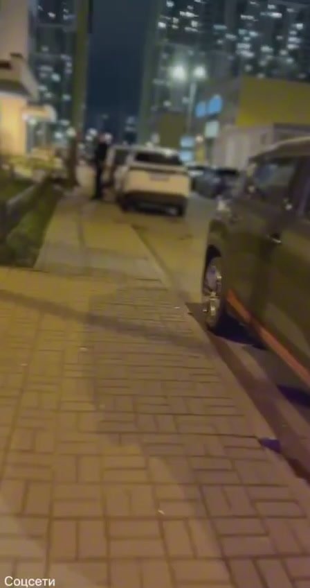 Мужчина натравил собаку на супружескую пару в Петербурге