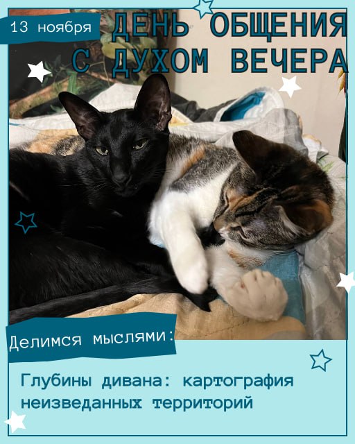 Сегодня, в День общения с духом вечера, наши хвостатые админы и друзья уже настроились на философский лад и готовы делиться мыслями! Сегодня, в День общения с духом вечера, наши хвостатые админы и друзья уже настроились на философский лад и готовы делиться мыслями!