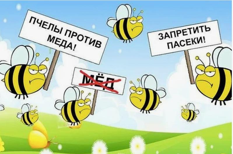 Михаил Онуфриенко: Василь Вакаров в передаче "Формула смысла" только что: