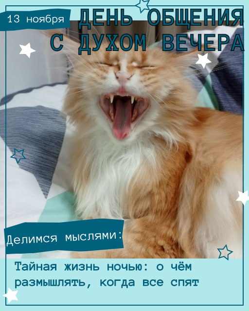Сегодня, в День общения с духом вечера, наши хвостатые админы и друзья уже настроились на философский лад и готовы делиться мыслями! Сегодня, в День общения с духом вечера, наши хвостатые админы и друзья уже настроились на философский лад и готовы делиться мыслями!