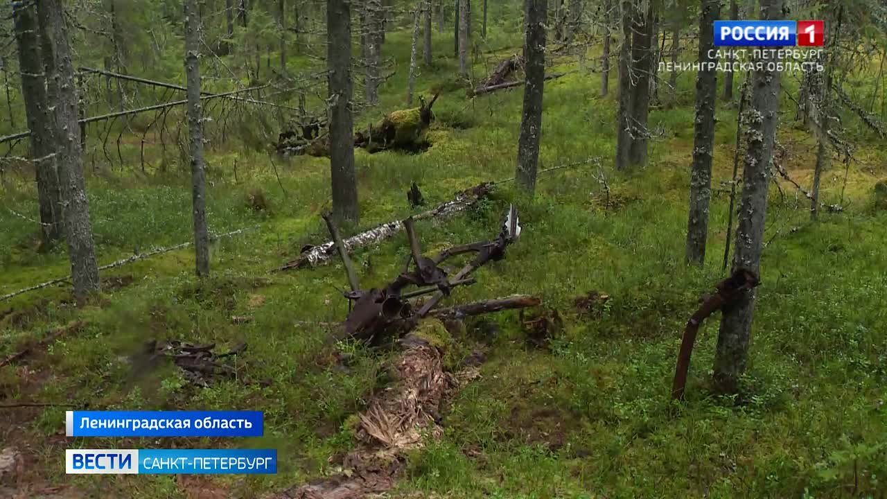 В Лодейнопольском районе школьник нашёл самолет времён Великой Отечественной войны