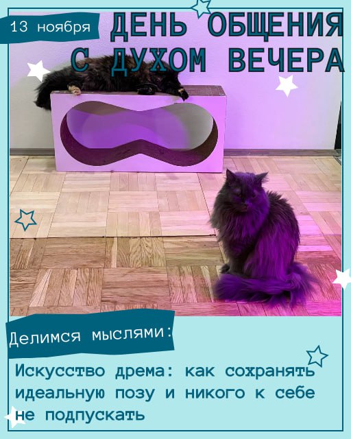 Сегодня, в День общения с духом вечера, наши хвостатые админы и друзья уже настроились на философский лад и готовы делиться мыслями! Сегодня, в День общения с духом вечера, наши хвостатые админы и друзья уже настроились на философский лад и готовы делиться мыслями!
