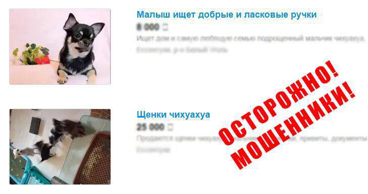 РЕАЛЬНОЕ ОБРАЩЕНИЕ ГРАЖДАНИНА О МОШЕННИЧЕСКИХ ДЕЙСТВИЯХ: