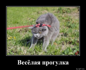 Дмитрий Стешин: Учимся говорить со странами-подсосами