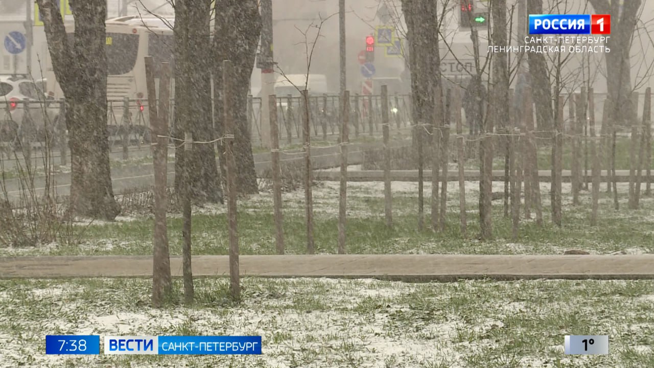 Дорожные службы 47-го региона приведены в усиленный режим