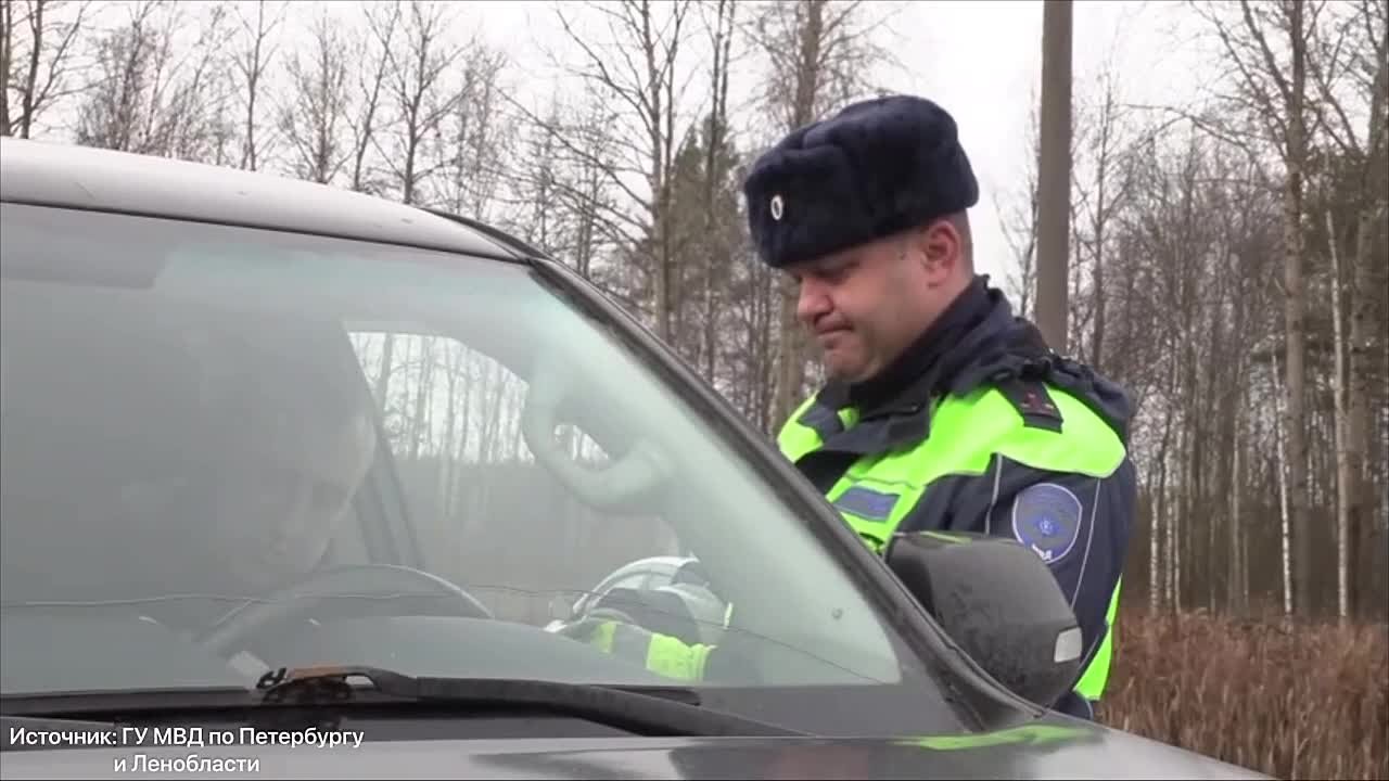 В Ленобласти с помощью дронов проверяли нелегальных мигрантов и автомобилистов