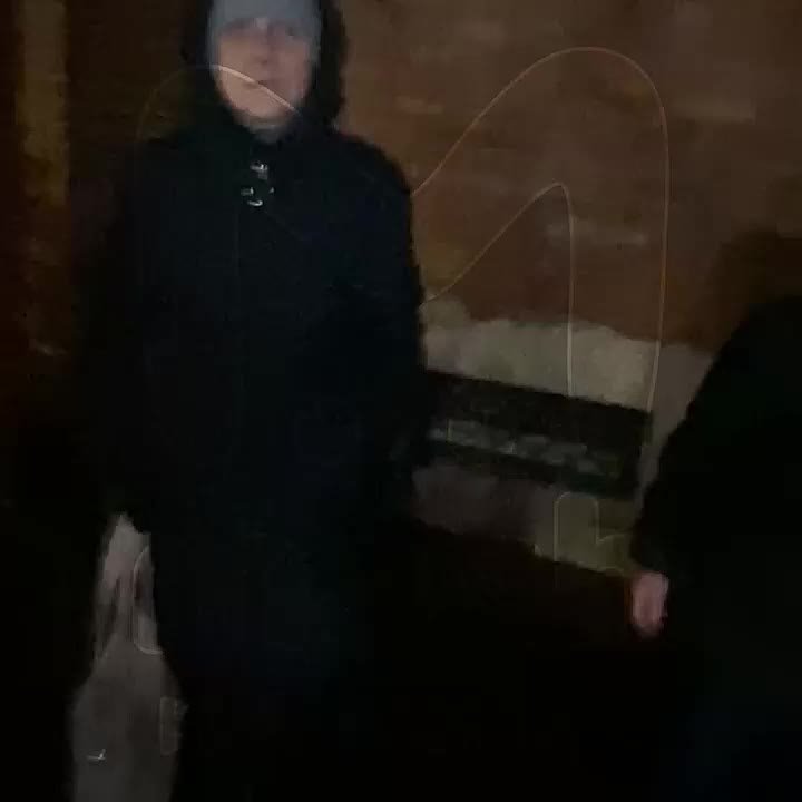 Грозные бабульки с проспекта Стачек напали на спасительницу уличных котят