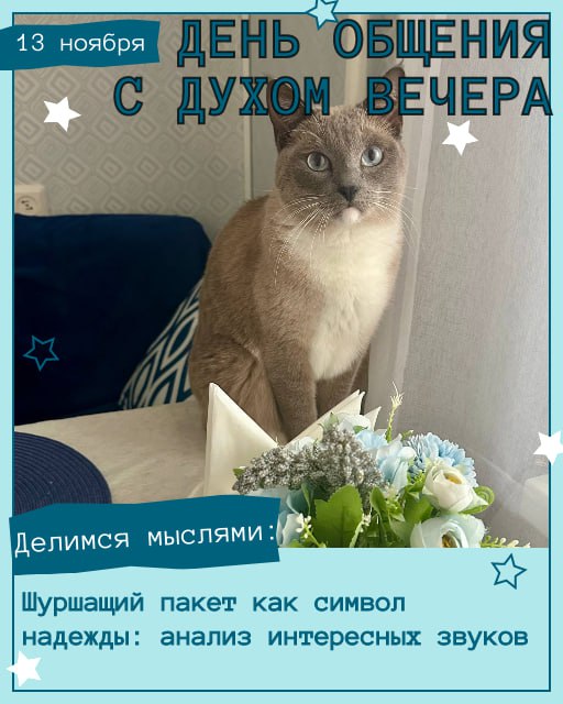 Сегодня, в День общения с духом вечера, наши хвостатые админы и друзья уже настроились на философский лад и готовы делиться мыслями! Сегодня, в День общения с духом вечера, наши хвостатые админы и друзья уже настроились на философский лад и готовы делиться мыслями!