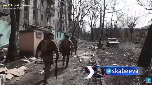 Французский антикриз от офицера в отставке Гийома Анселя