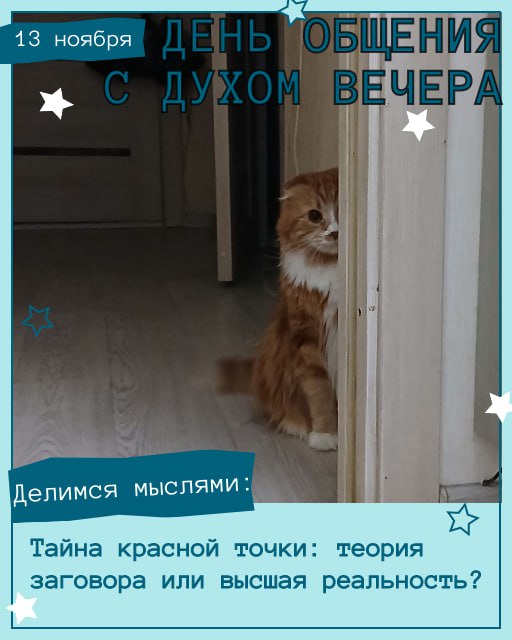 Сегодня, в День общения с духом вечера, наши хвостатые админы и друзья уже настроились на философский лад и готовы делиться мыслями!