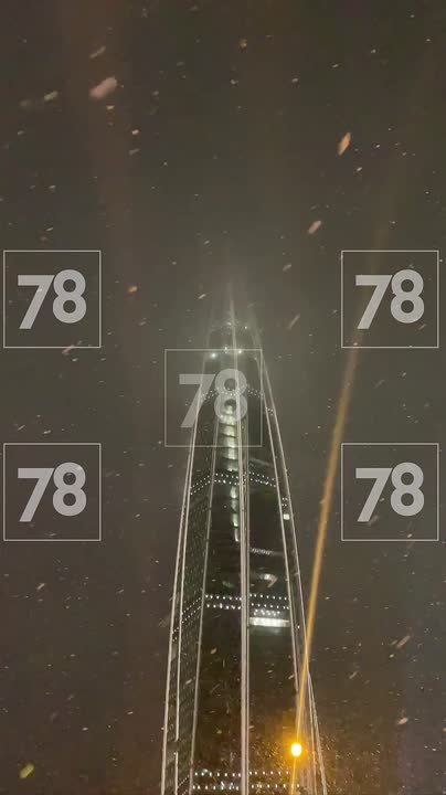 В Петербурге выпал первый снег