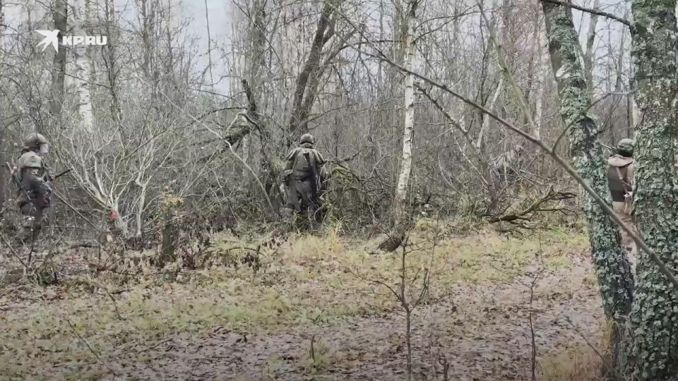 Александр Коц: Мой видеорепортаж. Корейская колыбельная на ночь