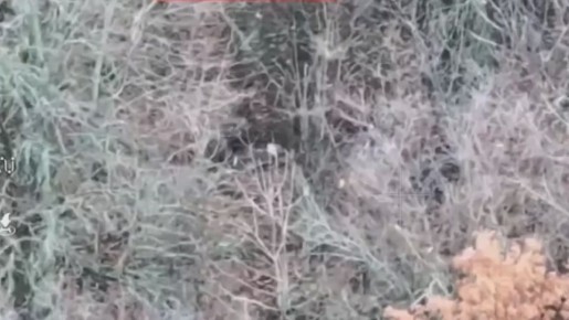 Кадры работы СпН "АНВАР" в Приграничье