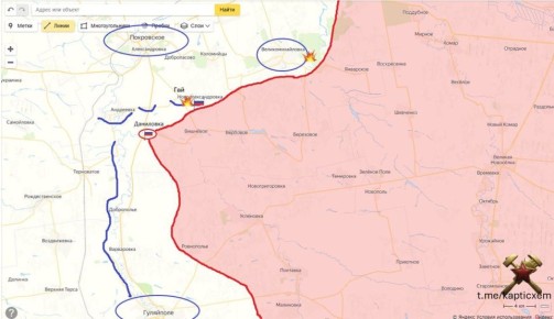 Гуляйполе-Покровское. Общий вид участка