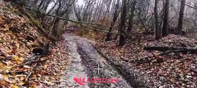 Операторы FPV 106 вдд группировки "Север" активно выбивают мобильные группы противника в приграничье, нанося удары дронами-камикадзе на оптоволокне по квадроциклам с боевиками ВСУ