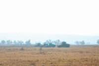 Денег нет, но учения по расписанию Денег нет, но учения по расписанию