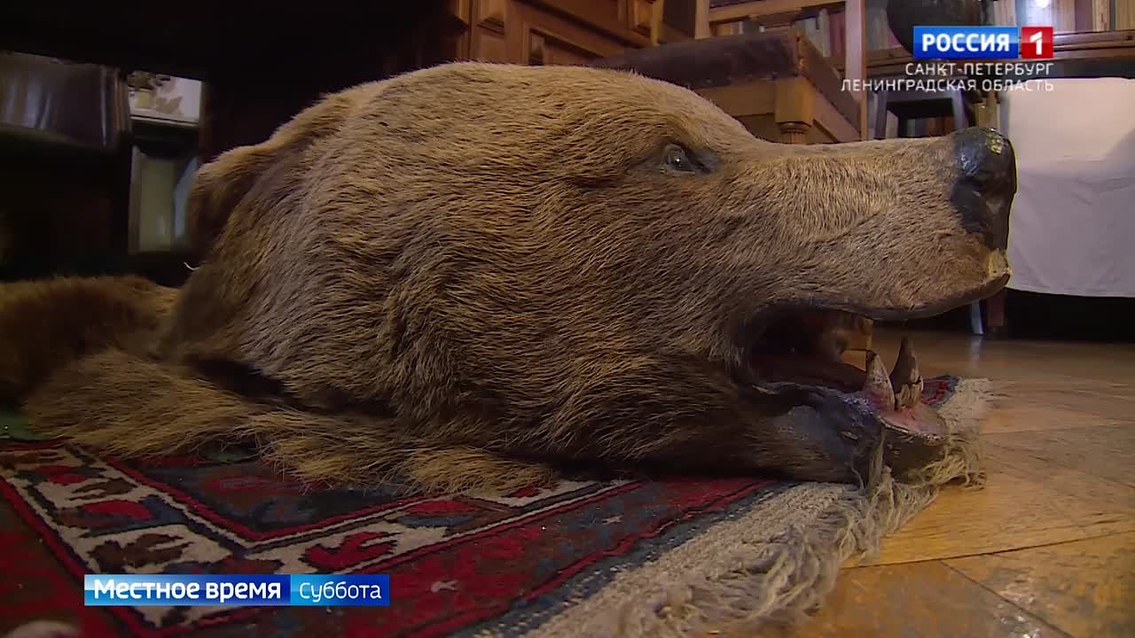 В Музее имени Кирова открылась выставка "В нашей квартире собаки и кот"