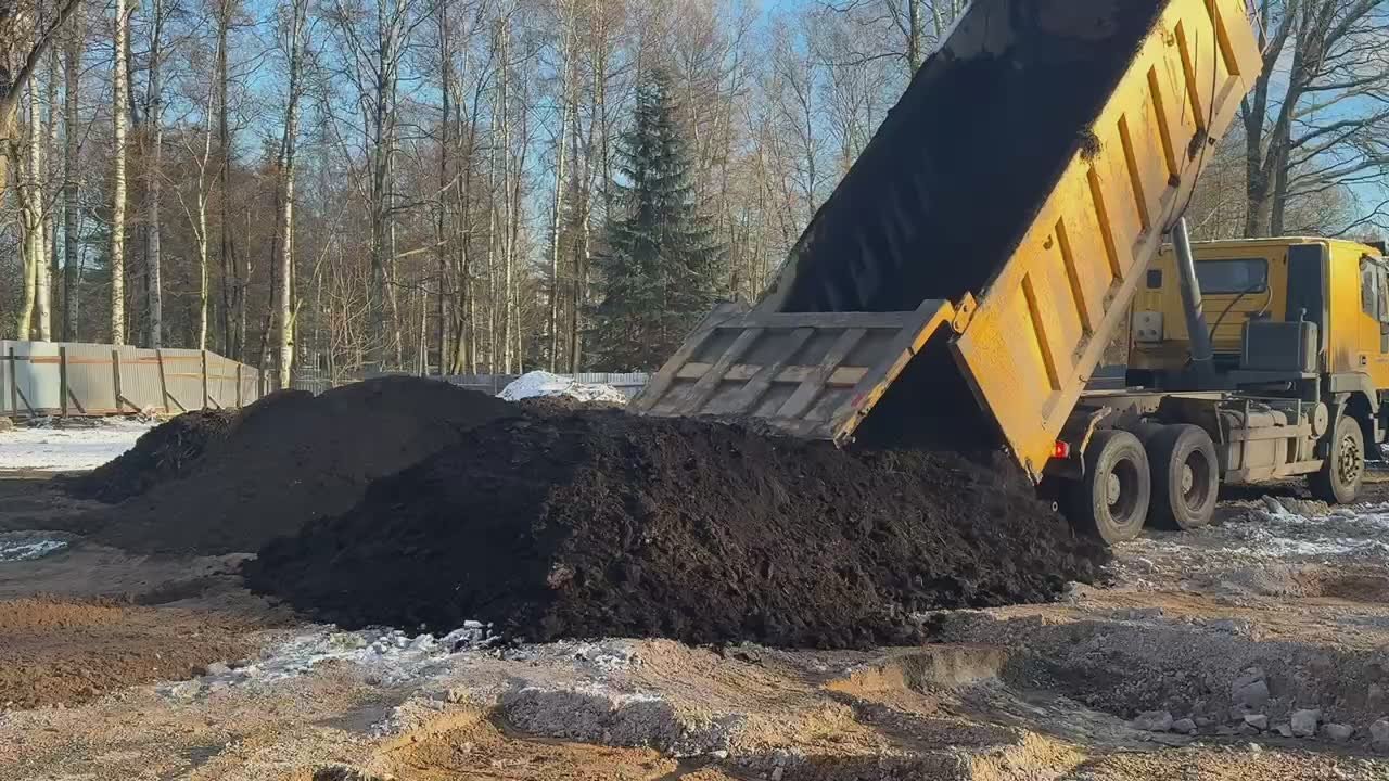 Демонтаж комплекса Sport Palace в Приморском парке завершён — специалисты очистили территорию от строительного мусора и занимаются рекультивацией участка