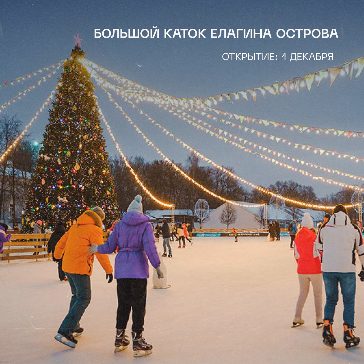 В Петербурге постепенно начинают работать катки В Петербурге постепенно начинают работать катки