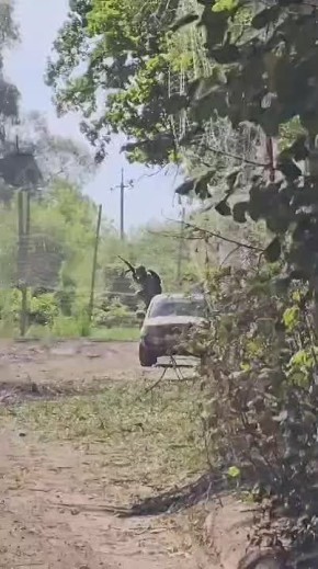 Прилет русского фпв-дрона по бандеровской свиновозке