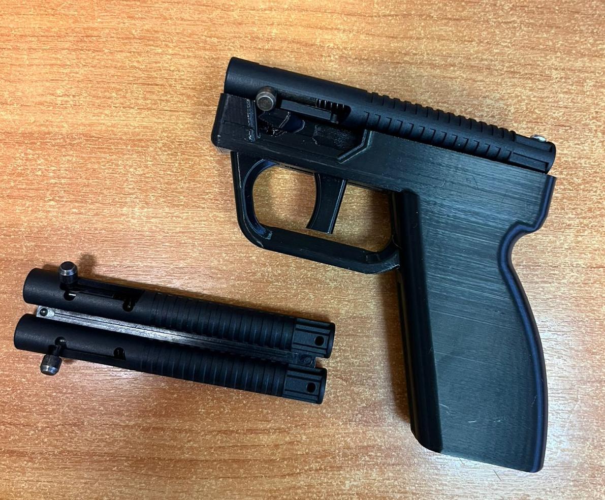 Житель Лужского района пытался пронести в здание суда сигнальный пистолет