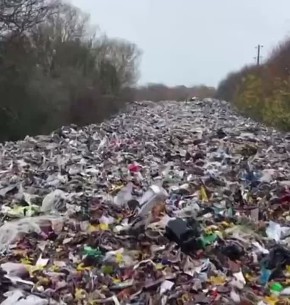 Пока западные политики учат весь мир жить по «зелёным» стандартам, у себя дома разводят настоящую экологическую катастрофу