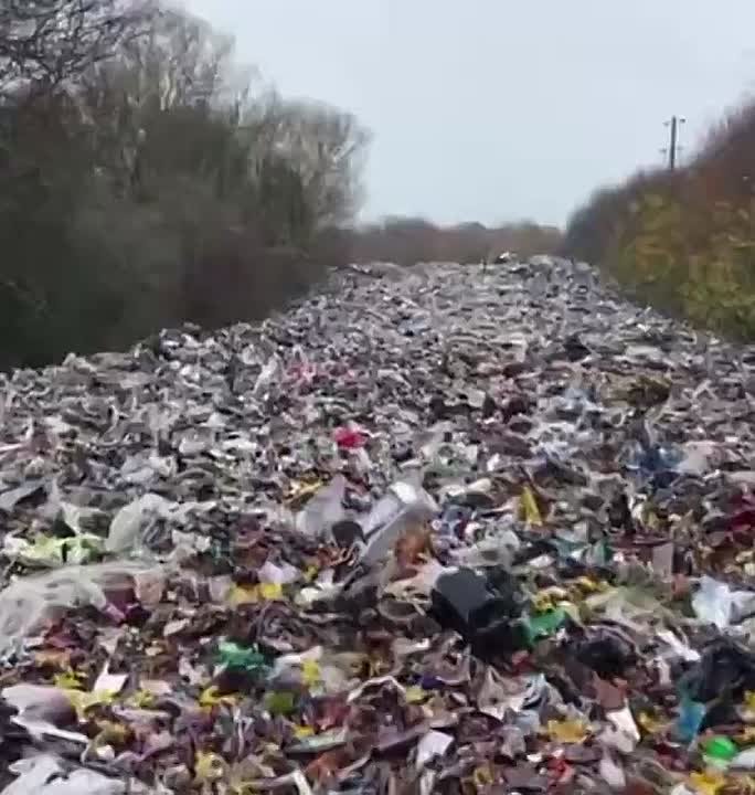 Пока западные политики учат весь мир жить по «зелёным» стандартам, у себя дома разводят настоящую экологическую катастрофу